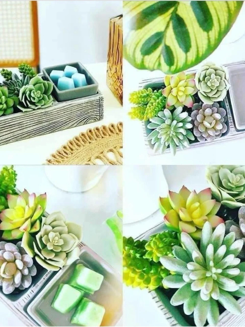 Scentsy Succulent Warmer